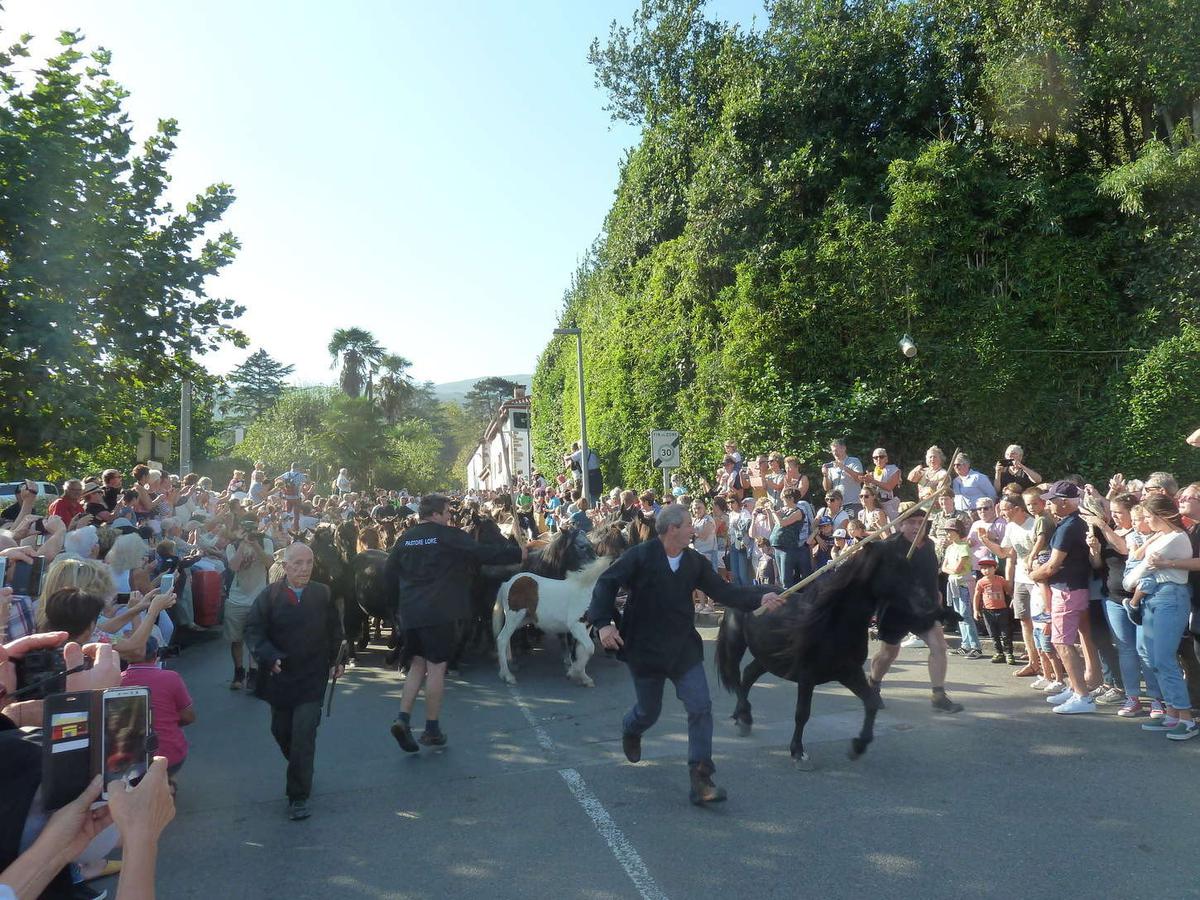 ASSOCIATION-PASTORE-LORE ASSOCIATION PASTORE LORE