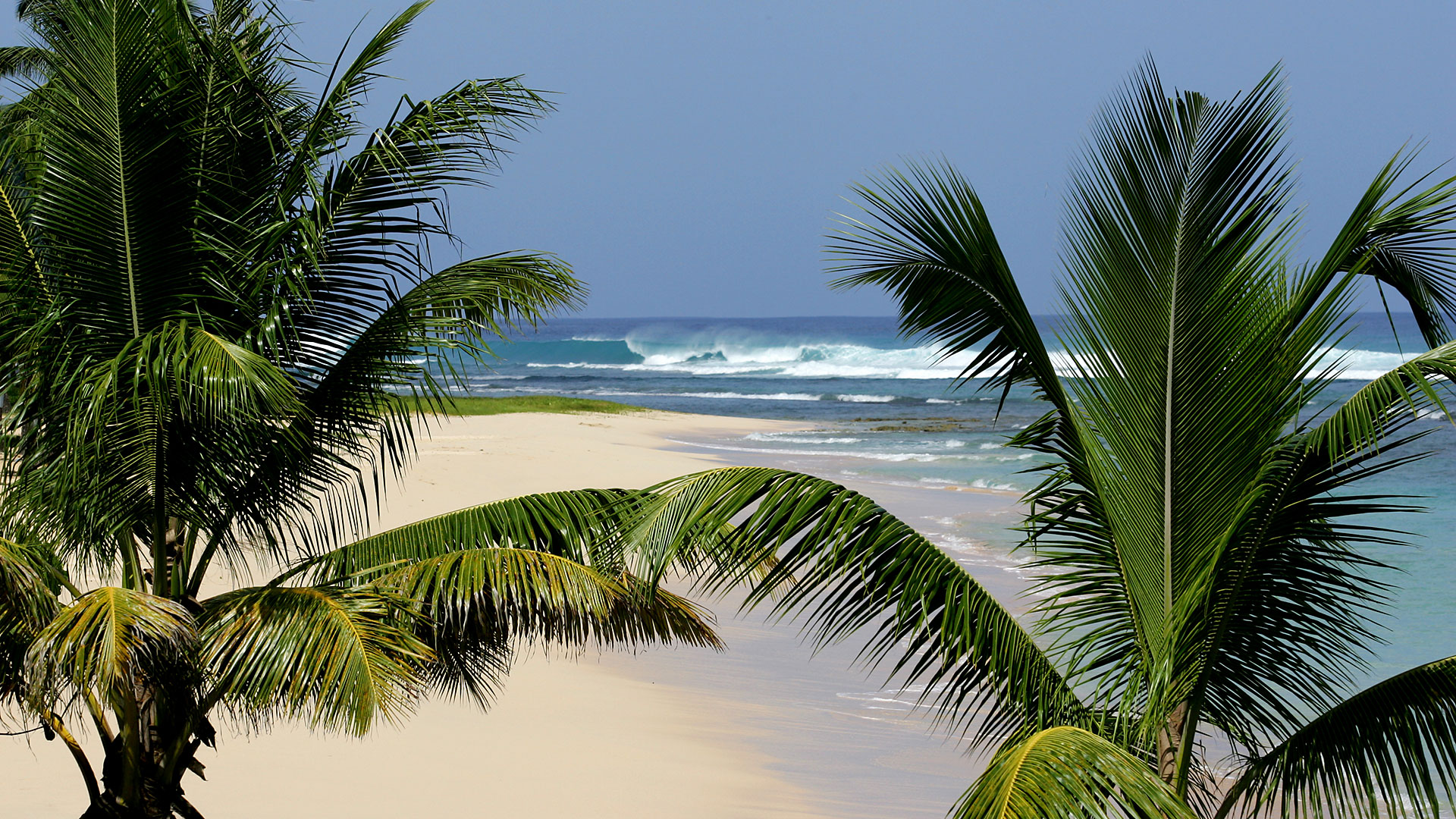 NO-COMPLY NO COMPLY" ECOLE DE SURF GUADELOUPE